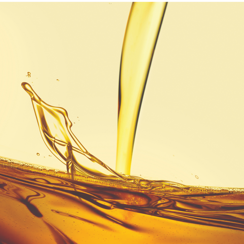 CRUDE PEANUT OIL Gulfood 2025