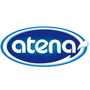 ATENA LLC