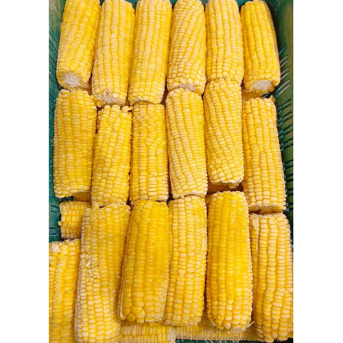 Sweet Corn Corn Cob