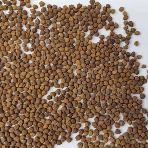 Kabuli and desi chickpeas Gulfood 2024