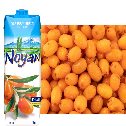 Noyan Sea Buckthorn Nectar