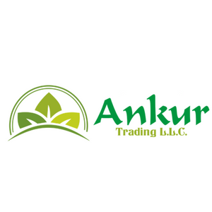 Ankur Trading LLC