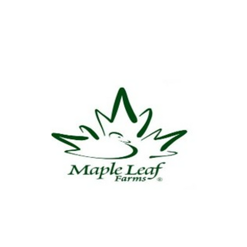 Maple Leaf