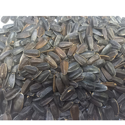 SUNFLOWER SEEDS BLACK JUMBO