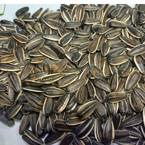 SUNFLOWER SEEDS JUMBO