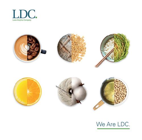 LDC Corporate Brochure