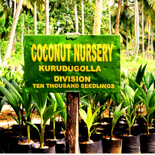 Coconut Range