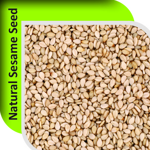 Natural White Sesame Seeds Gulfood 2025