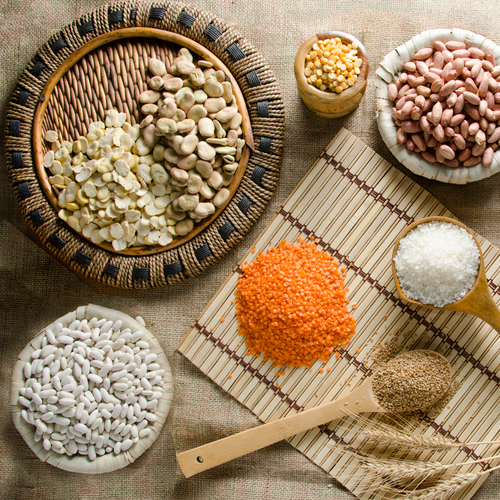 pulses and legumes