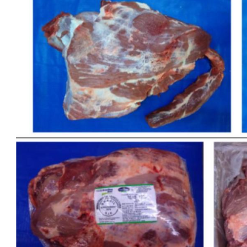 Frozen Beef Gulfood 2025