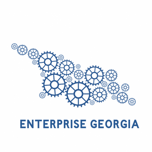LEPL Enterprise Georgia