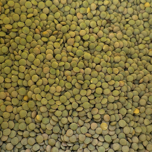 Various lentils