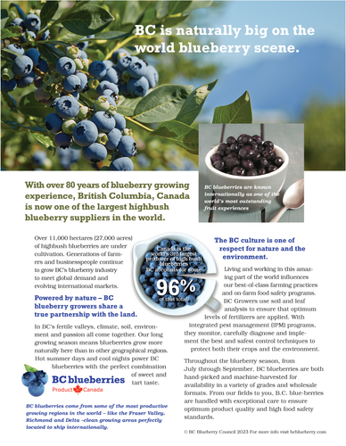 BC Blueberries Marketing Inserts
