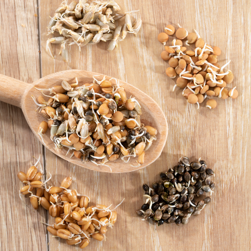 Cereal ingredients Gulfood 2025