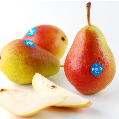 FRED Pear