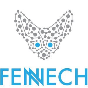 Fennech Financial Limited