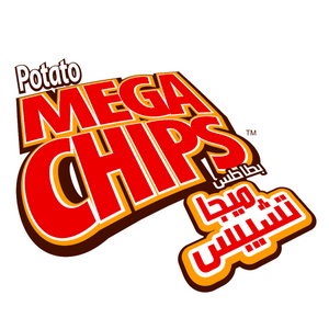 Mega Chips