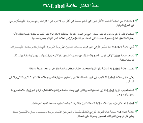 V LABEL Flyer (Arabic)