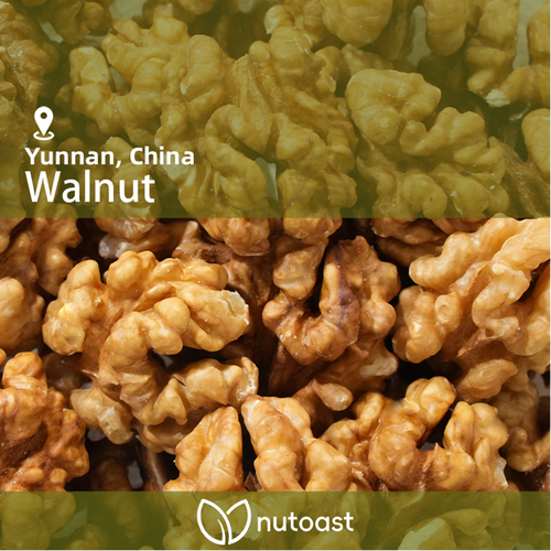 Nutoast Wholesale Walnut Butter, Chunky