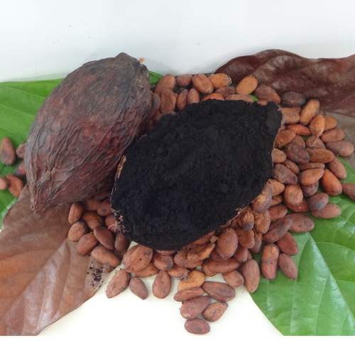 ALKALISED COCOA POWDER - KB40