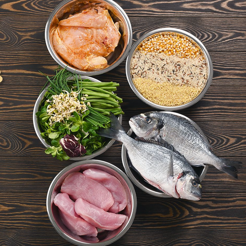 Pet Food under your brand