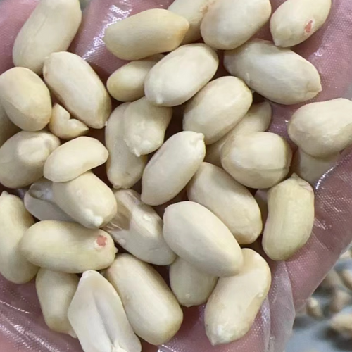 Blanched peanuts kernels 25/29