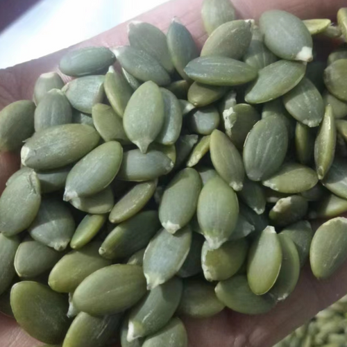 PUMPKIN SEEDS