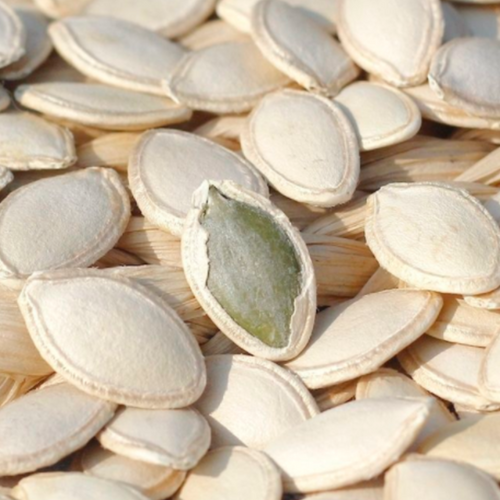 PUMPKIN SEEDS