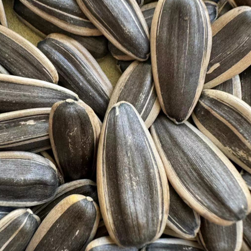 SUNFLOWER SEEDS