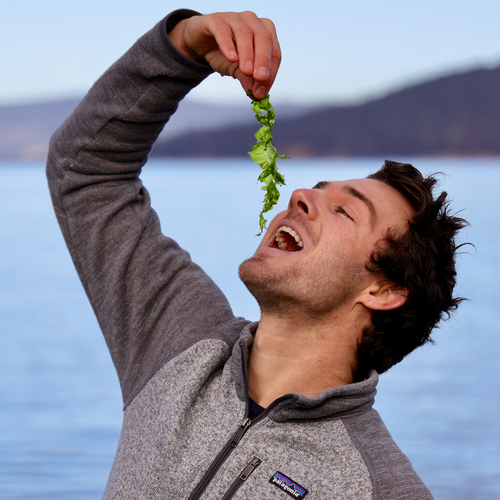 Food-grade Seaweed