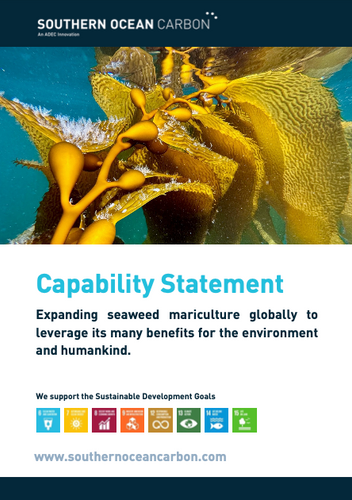 Southern Ocean Carbon Capability Statement