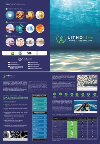 Litholife Brochure 1