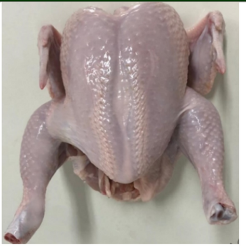 WHOLE CHICKEN