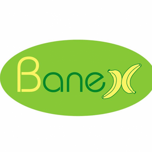 Banex Group DMCC