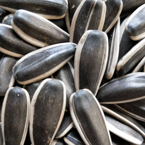 sunflower seeds