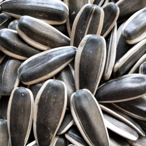 sunflower seeds