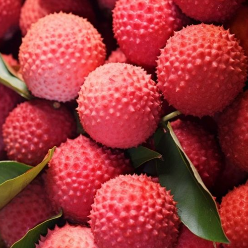 Lychee