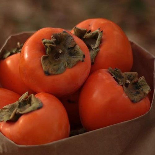 Persimmons