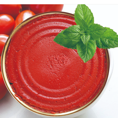 tomato paste/sauce