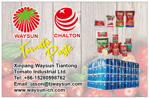 Tomato Paste Manufacturer