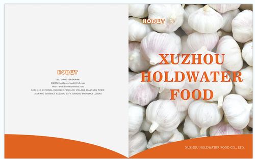 XUZHOU HOLDWATER FOOD