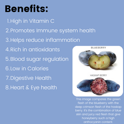 Corniche Sweethearts Sugar Free Gummies – Haskap Berry and Apple