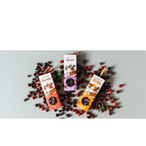 Candied fruits and berries in chocolate