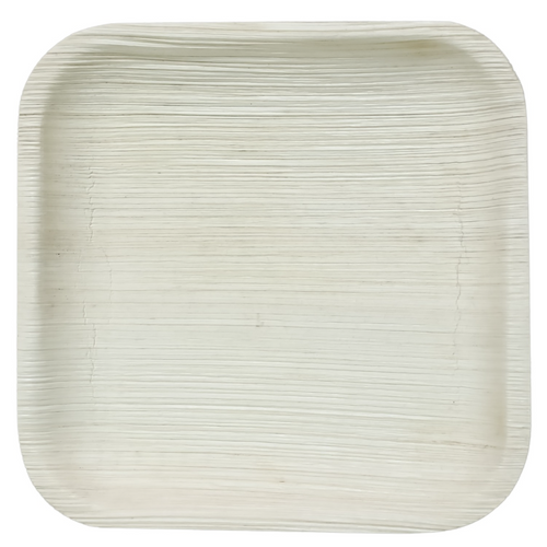 palm leaf plates