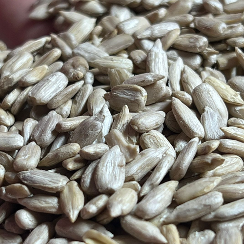 SUNFLOWER SEED KERNEL, FLAX SEEDS FOR FOOD PURPOSES