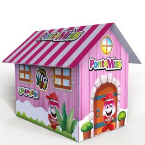 PONTO BOYS HOUSE SURPRISE
