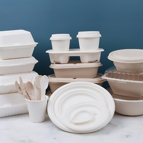 Bagasse Containers