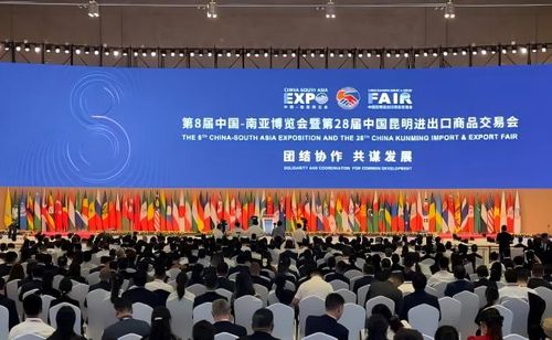 United in Collaboration for Shared Development | Shugeo Shines at the 8th China-South Asia Expo