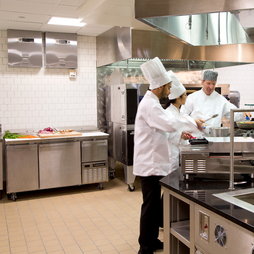 ANSUL PIRANHA Dual Agent Restaurant Fire Suppression System