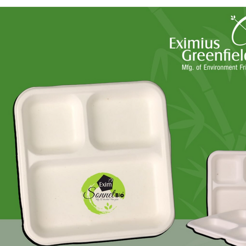 3 COMPARTMENTAL TRAYS